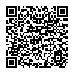 QR Code for Women's Human Rights Questions of Equality and Difference