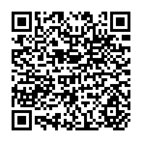 QR Code for Working Papers