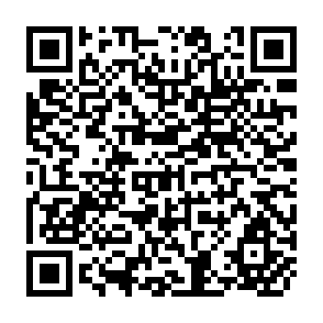 QR Code for Dutch Bilateral AID Policies in the Period 1977-1993