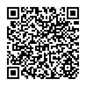 QR Code for The Co-ordination of the Objectives of Eu's Development Policy