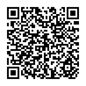 QR Code for The Failure of Agrarian Reform in Transitional Democracy, Philippines 1986-1992
