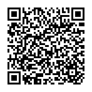 QR Code for The Working Women's Forum: Organizing For Credit And Change
