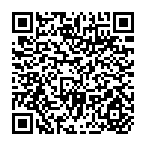 QR Code for The Design of Rural Development