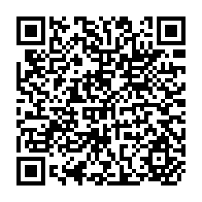 QR Code for External and Domestic Financial Constraints on Adjustment. A General equilibrium Framework for Mexico