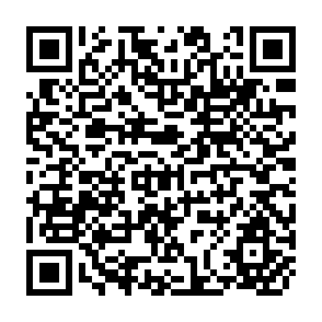 QR Code for Aid Flows and 'Dutch Disease' in a General Equilibrium Framework for Pakistan