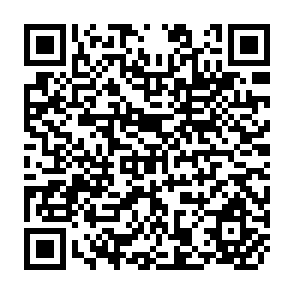 QR Code for Reflections on the Causes of Human Misery and Upon Certain Proposals ti Eliminate them
