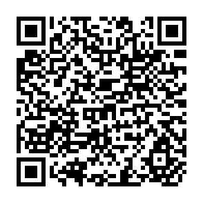 QR Code for Reflections on the Causes of Human Misery and Upon Certain Proposals ti Eliminate them