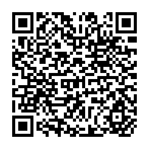 QR Code for Government's role in Pakistan agriculture: Major reforms are needed