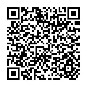QR Code for Technology and rural development strategies in a base economic organization