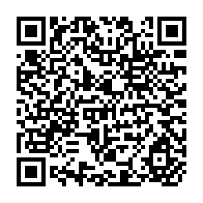 QR Code for The Role Of Labour in Household Food Security : Implications of AIDS in Africa