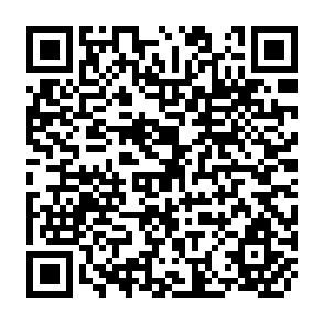 QR Code for The Gender Dimensions of Economic Adjustment Policies: Potential Interactions and Evidence to Date