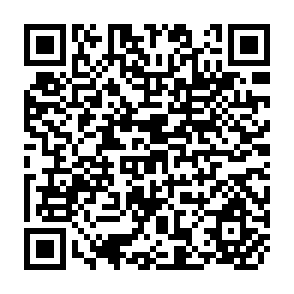 QR Code for Farmer Costs and Benefits from Agroforestry and farm Forestry Projects in Central America and the Caribbean: Implications for Policy