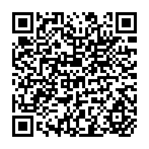 QR Code for The Demand for Financial Servises by Rural Households-Conceptual Framework and Empirical Findings