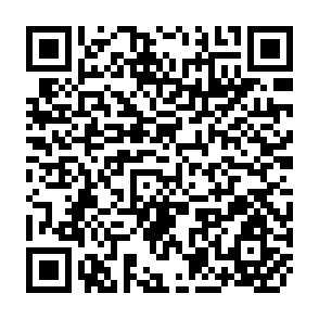 QR Code for Rural Energy - Medium and Large Scale Biogas Syatems
