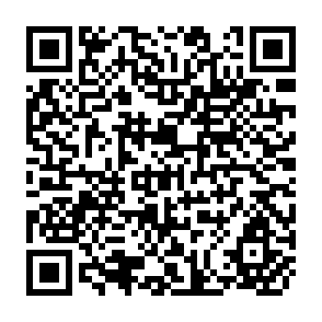 QR Code for Determinants of Aggregate Primary Commodity Export Supply: Econometric Results from African Countries