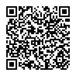 QR Code for Industrial Policy For Technological Learning : A Hypothesis and Korean Evidence