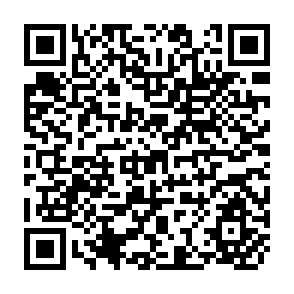 QR Code for The Green Revolution