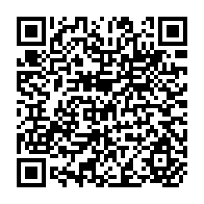 QR Code for How Much Aid is Used for Poverty Reduction?