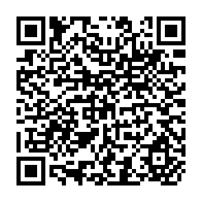 QR Code for Foreign Aid, Structural Adjustment, and Public Managaement the Mozambican Experience