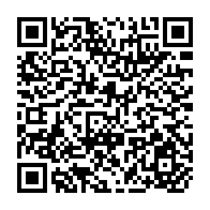 QR Code for Food Markets in Developing Countries: What do we Know?