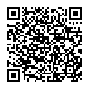 QR Code for Managing Development Through Institute Building