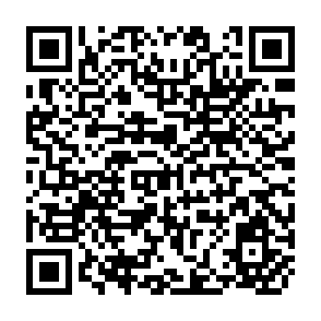QR Code for An Overview