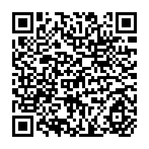 QR Code for Agriculture in Liberalizing Economies: Changing Roles for Governments