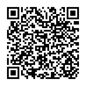 QR Code for Design and Operation of Smallholder Irrigation in South Asia