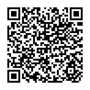 QR Code for Valuing Tropical Forests Methodology and Case Study of Madagascar