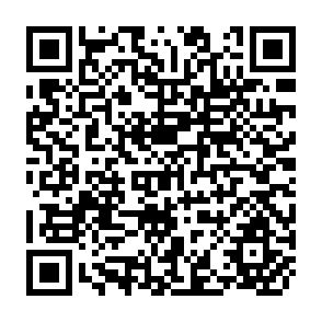 QR Code for Global Human Security