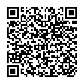 QR Code for Income Distribution and Economic Growth