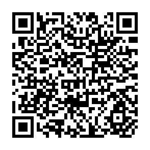 QR Code for Postharvet Management in Agriculture SAARC Bibliographical Database