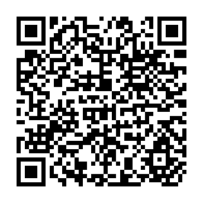 QR Code for Wheat and rice in the hills: Farming systems, production techniques and research isuues for rice-wheat cropping patterns in the mid-hills in Nepal