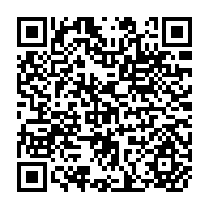 QR Code for Water Management Issues in Rice- Wheat based Cropping System in Bangladesh
