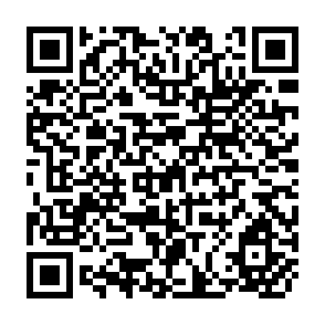 QR Code for The Health Gap- Beyond Pregnancy and Reproduction