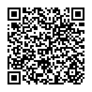 QR Code for Infecting Ourselves: How Environmental and Social Disruptions Trigger Disease