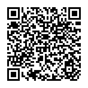 QR Code for Infecting Ourselves: How Environmental and Social Disruptions Trigger Disease