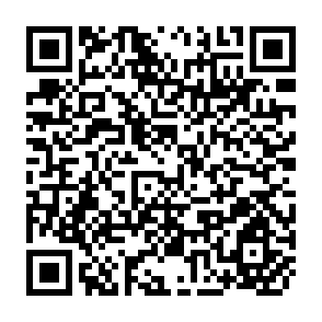 QR Code for Macroeconomic Management in Southeast Asia's Transitional Economies