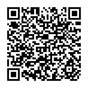 QR Code for The Imact of the International Agricultural Research Centers:Measurement,Quantification,and Interpretation