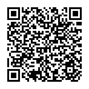 QR Code for Agricultural development in latin america and the role of research and technological change: An overview