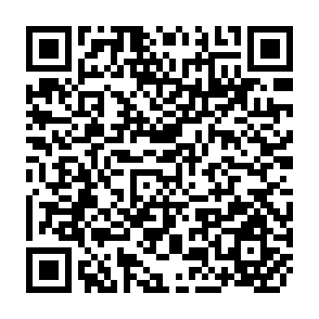 QR Code for Design of the Set-Aside Program in the Japanese Rice Sector