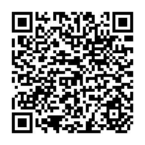QR Code for World Development Report 1996