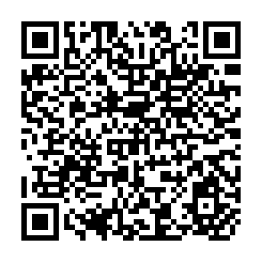 QR Code for Technologies Related to Participatory Forestry in Tropical and Subtropical Countries