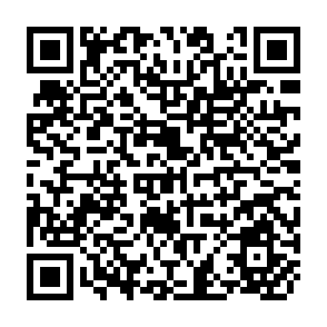 QR Code for Freedom to Starve