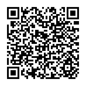 QR Code for 1995 Country Tables basic data on the agricultural sector Tableaux Par Pays donnees da base sur le secteur agricole Cuados por paises