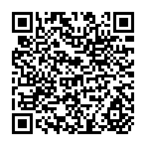 QR Code for Shrinking Fields: Cropland Loss in a World of Eight Billion