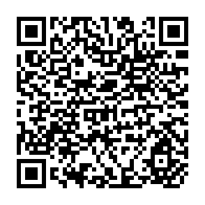 QR Code for Shrinking Fields: Cropland Loss in a World of Eight Billion