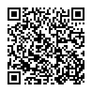 QR Code for Conflicts or complementarities? The state and non-government organisations in the colonisation zones of San Julian and Berlin, Eastern Bolivia