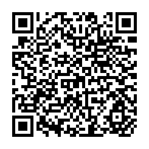 QR Code for The Supply Side of Global Food Security