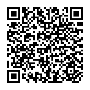 QR Code for Alternative Food Security Strategy : A Household analysis of Urban Agriculture in Kampala